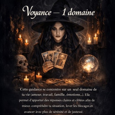 1 domaine